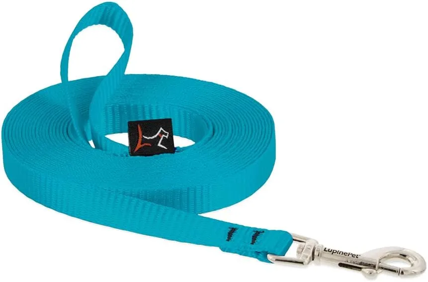 1/2in Aqua 30ft Training Leash