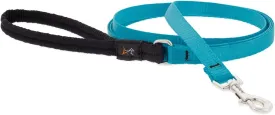 1/2in Aqua 4ft Leash