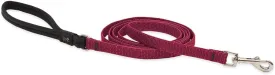 1/2in Berry 6ft Leash