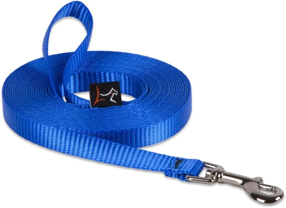 1/2in Blue 30ft Training Leash