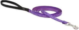 1/2in Jelly Roll 6ft Leash