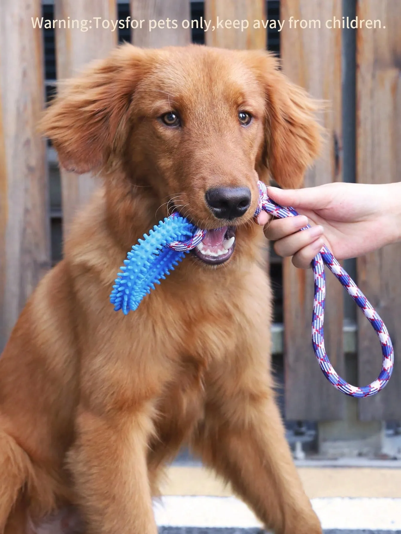 1pc Pet Dog Rope Pulling Interactive Toy