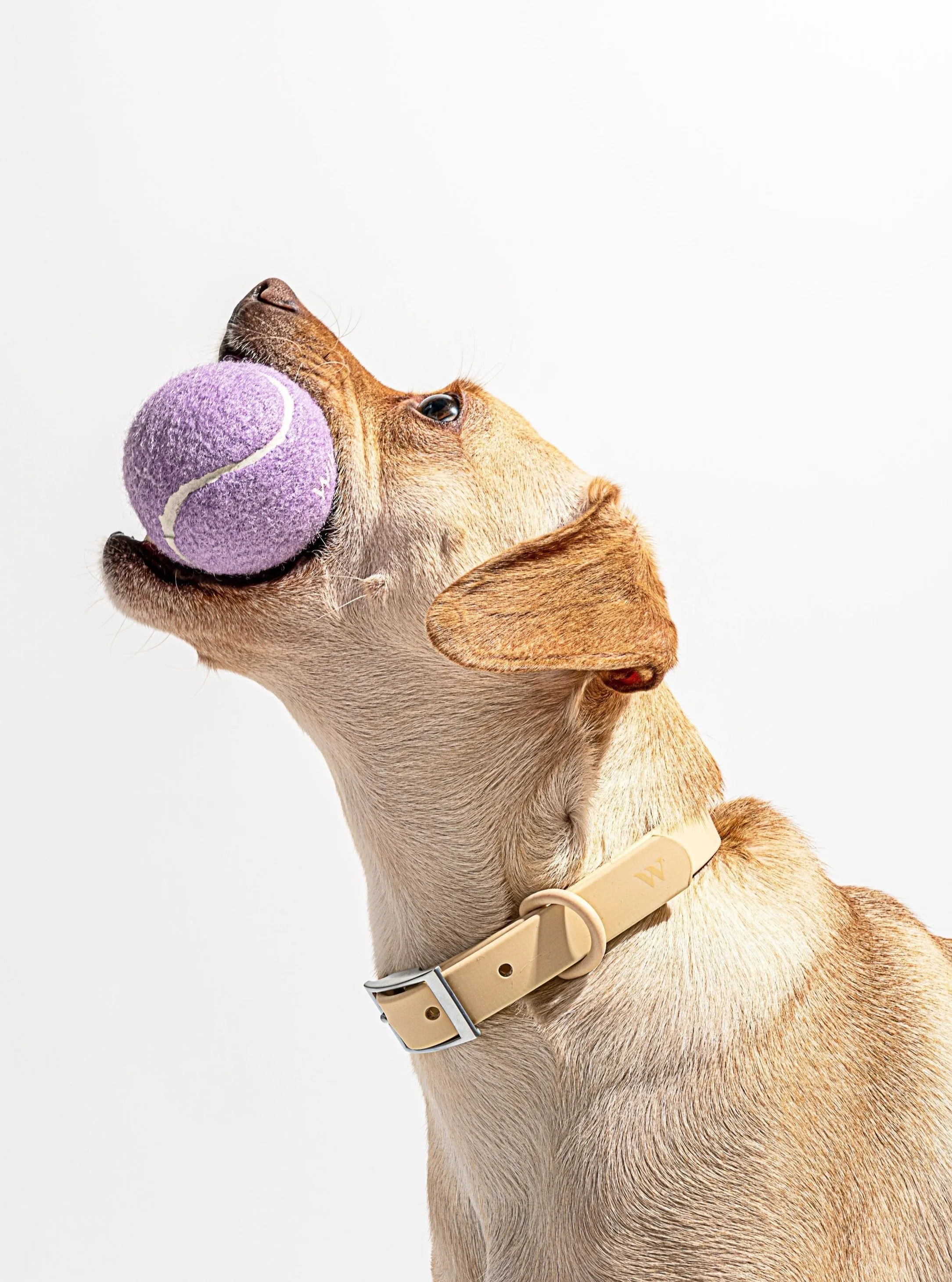 4 Tennis Balls - Lilac