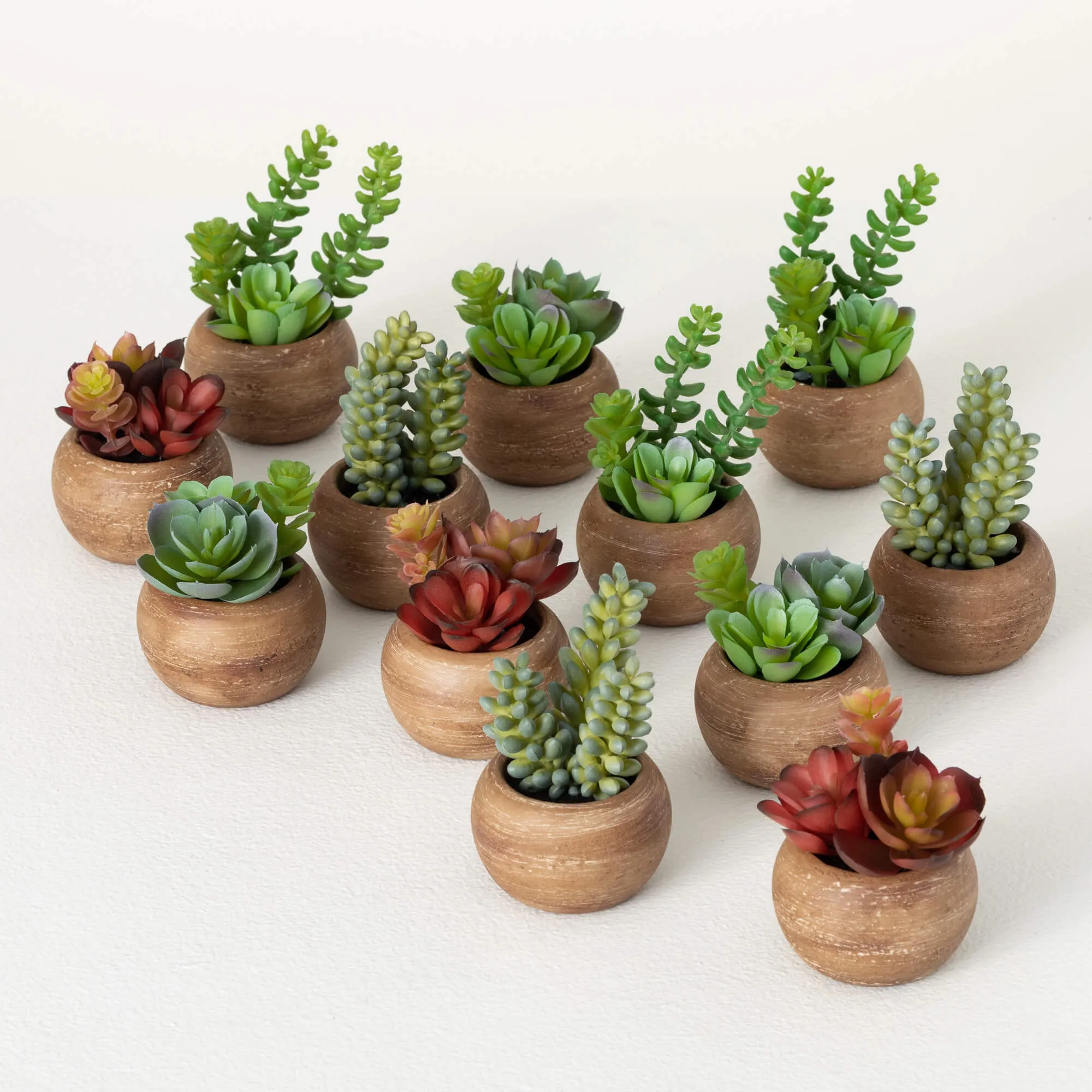 4.5"H Sullivans Mini Potted Succulent Set of 12, Multicolored