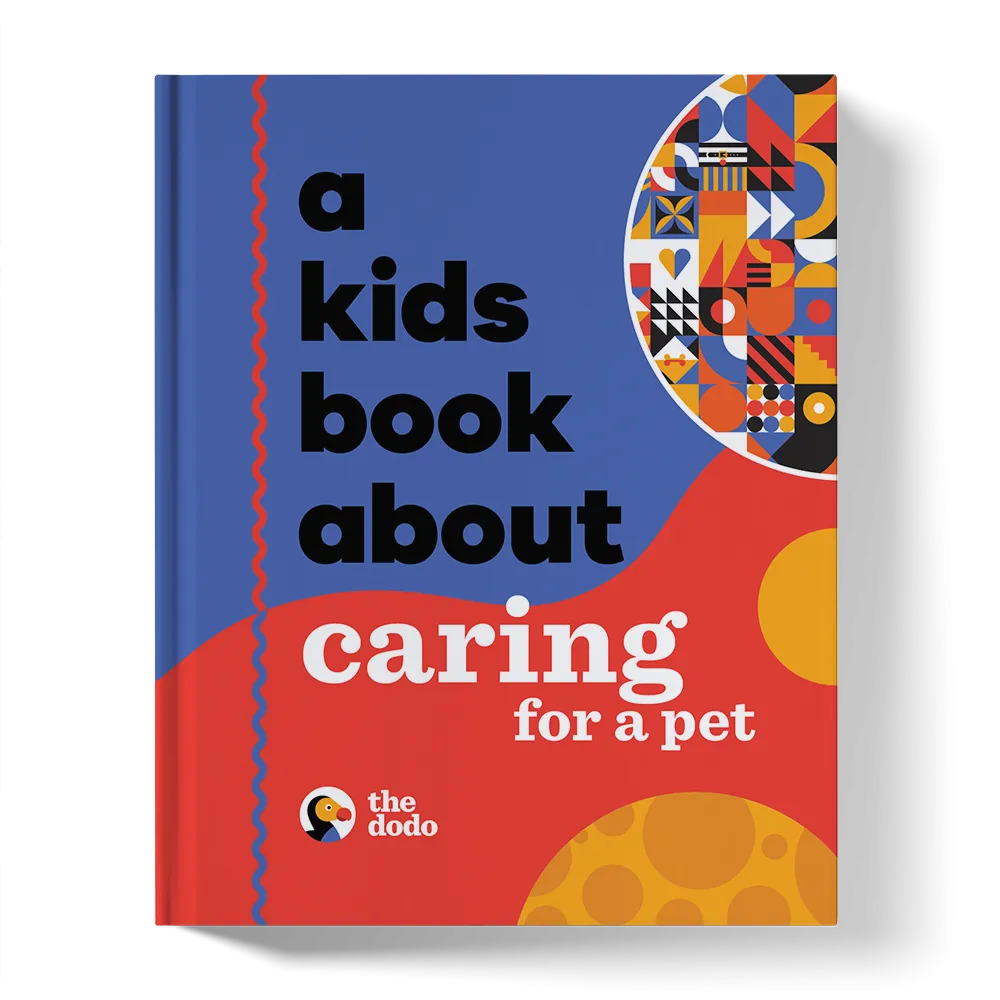 A Kids Book About Caring For A Pet (wholesale)