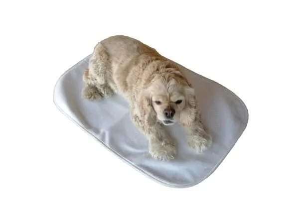 Achy Paws Self-Warming Cozy Pet Mat