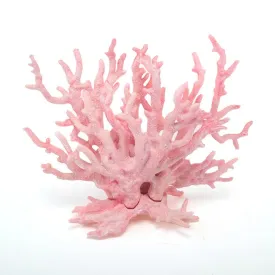 Aquarium Coral, Asstd