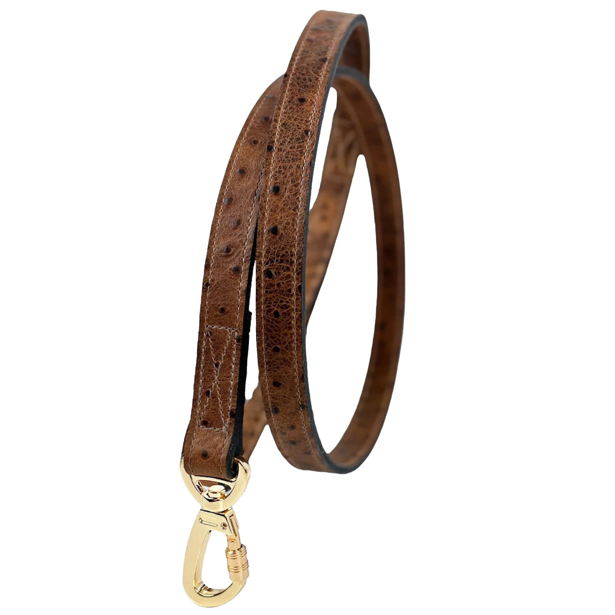 Belmont Dog Leash in Ostrich & Gold