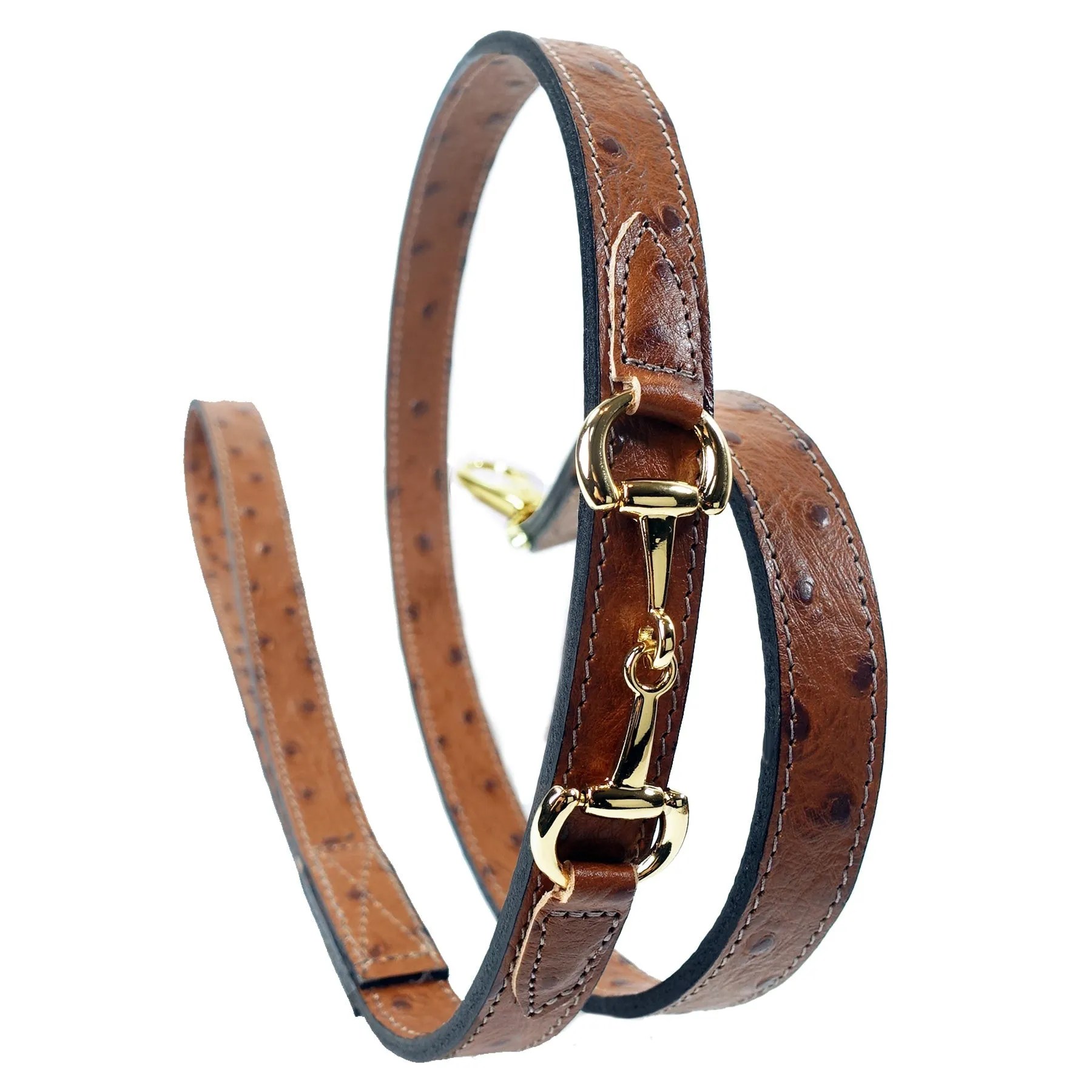 Belmont Dog Leash in Ostrich & Gold