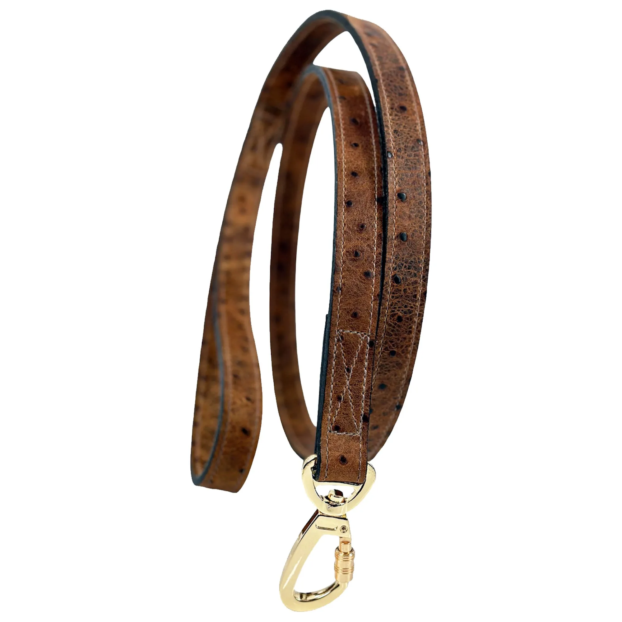 Belmont Dog Leash in Ostrich & Gold