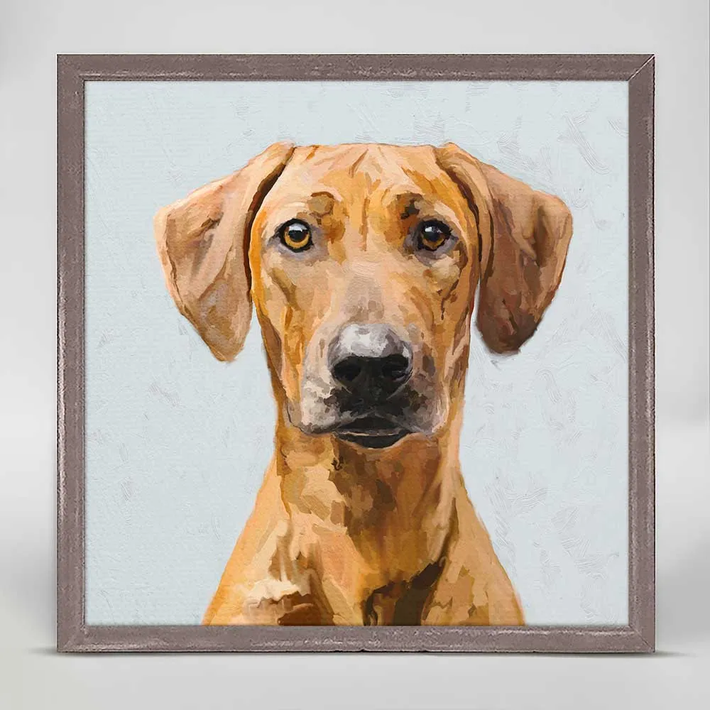 Best Friend - Rhodesian Ridgeback Mini Framed Canvas