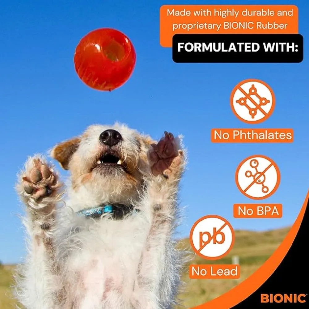 Bionic Ball Dog Toy