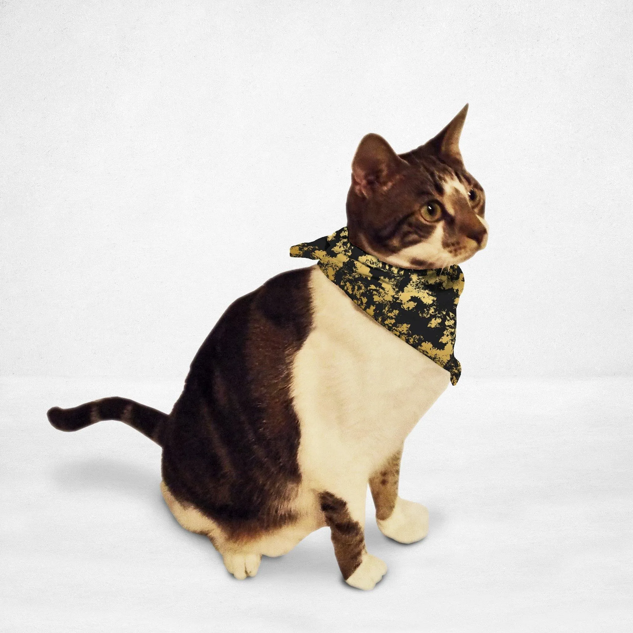 Black Gold Distressed Cat & Dog Bandana