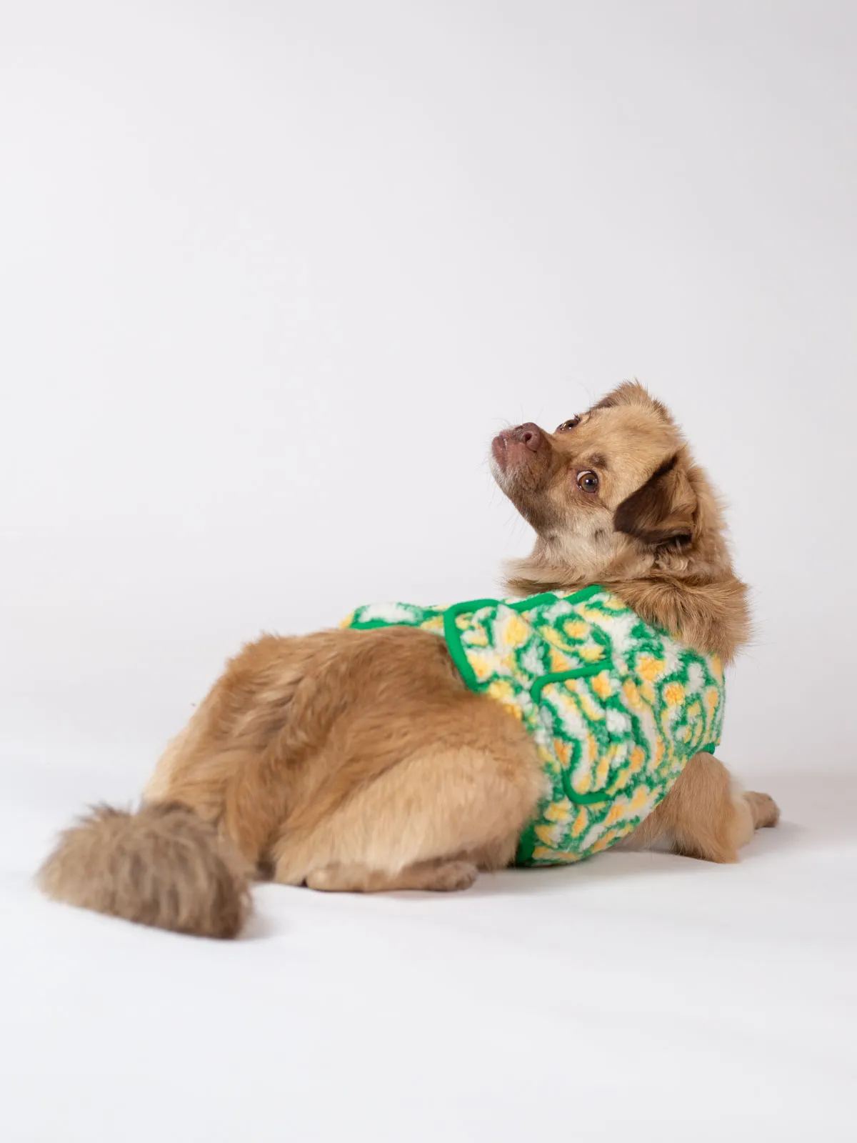 Broccoli Small Doggie Fleece