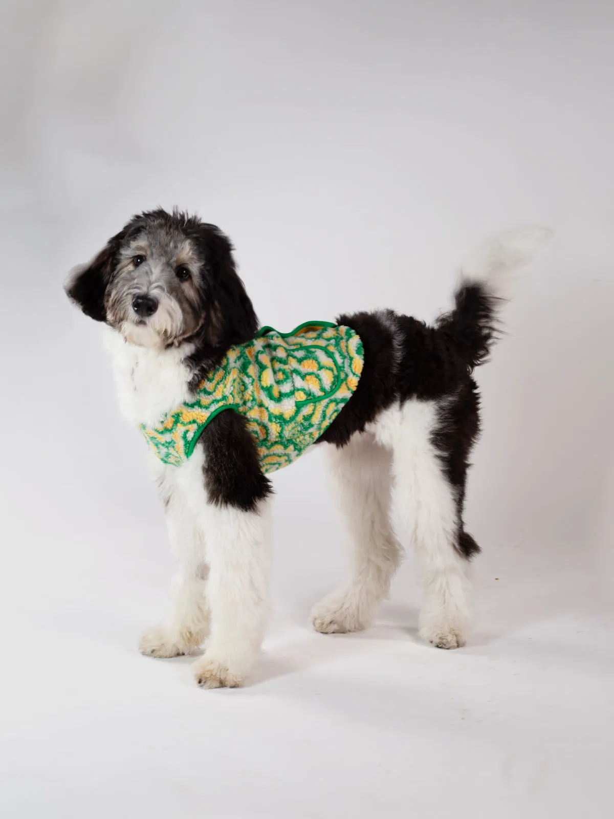 Broccoli Small Doggie Fleece