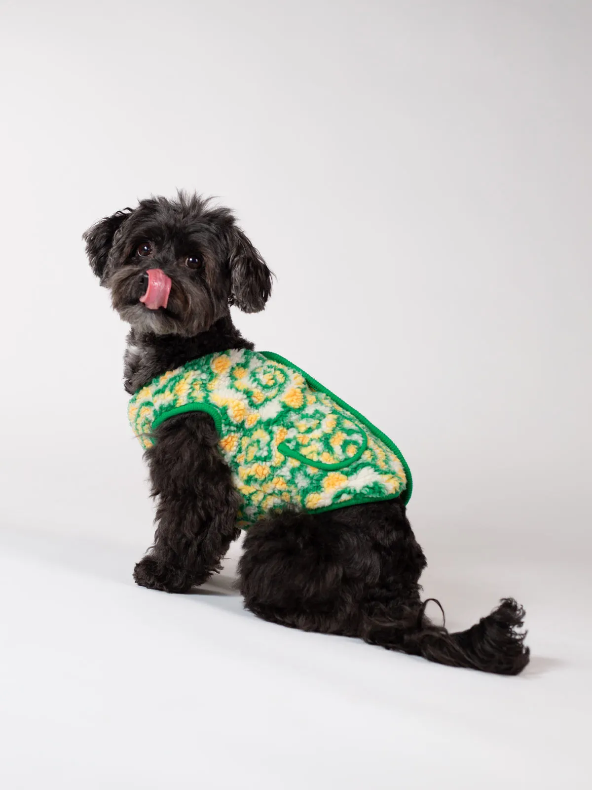 Broccoli Small Doggie Fleece