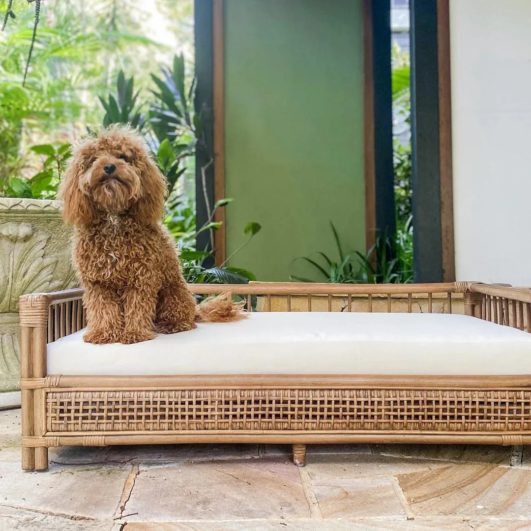 Cayman Rattan Pet Bed