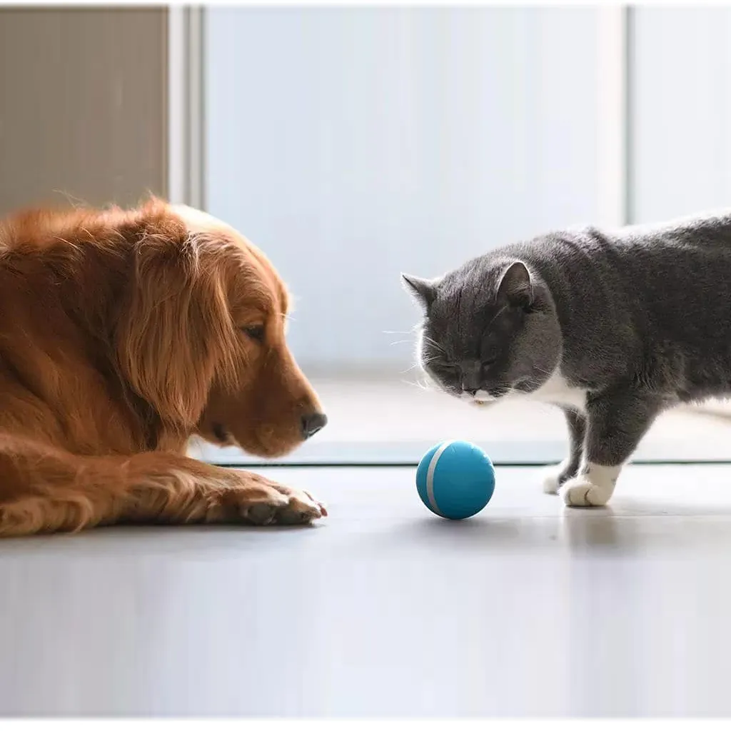 Cheerble Wicked Ball - A 100% automatic ball for Dogs and Cats