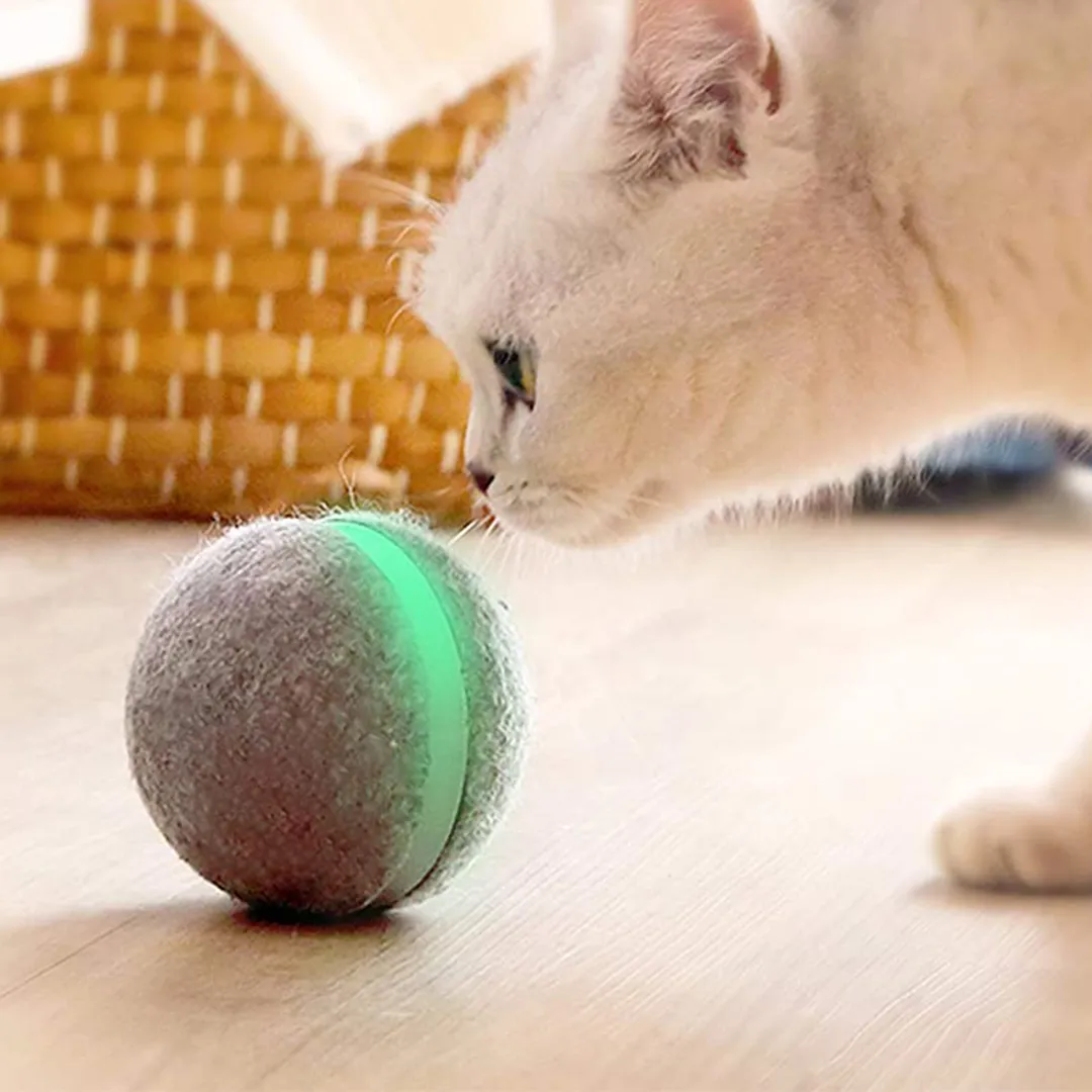 Cheerble Wicked Ball - A 100% automatic ball for Dogs and Cats