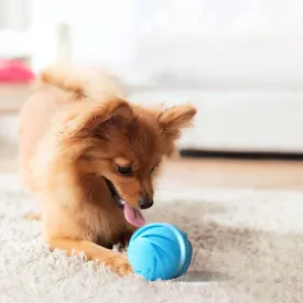 Cheerble Wicked Ball - A 100% automatic ball for Dogs and Cats