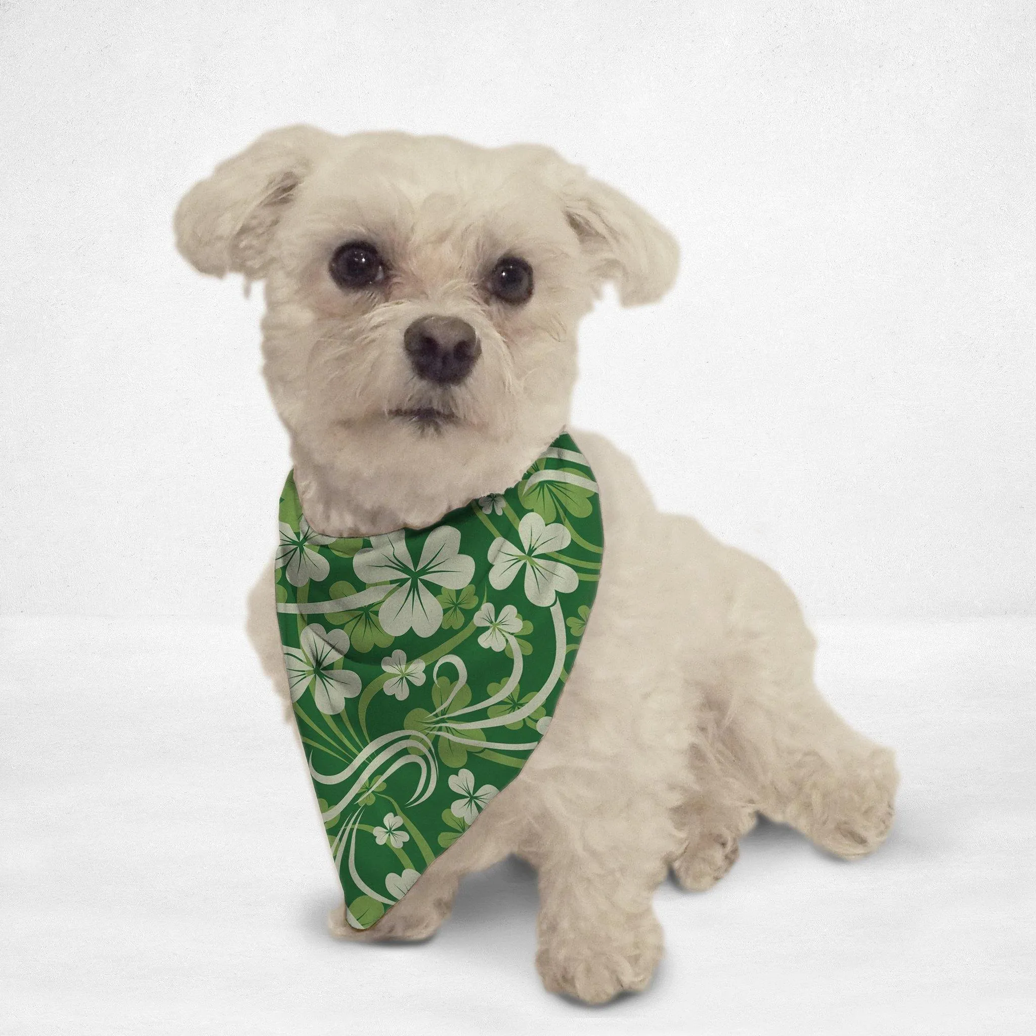 Clover Swirls Cat & Dog Bandana