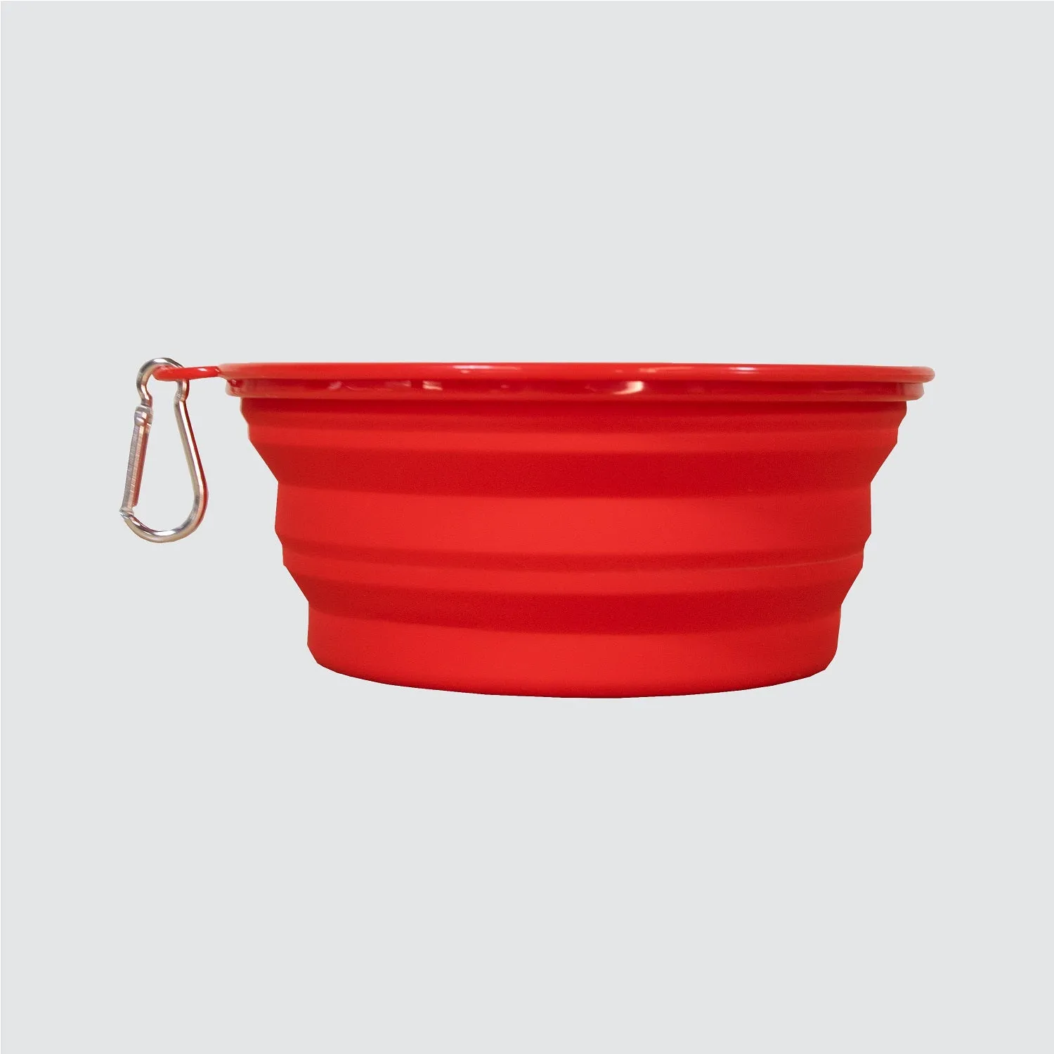 Collapsible Pet Bowl