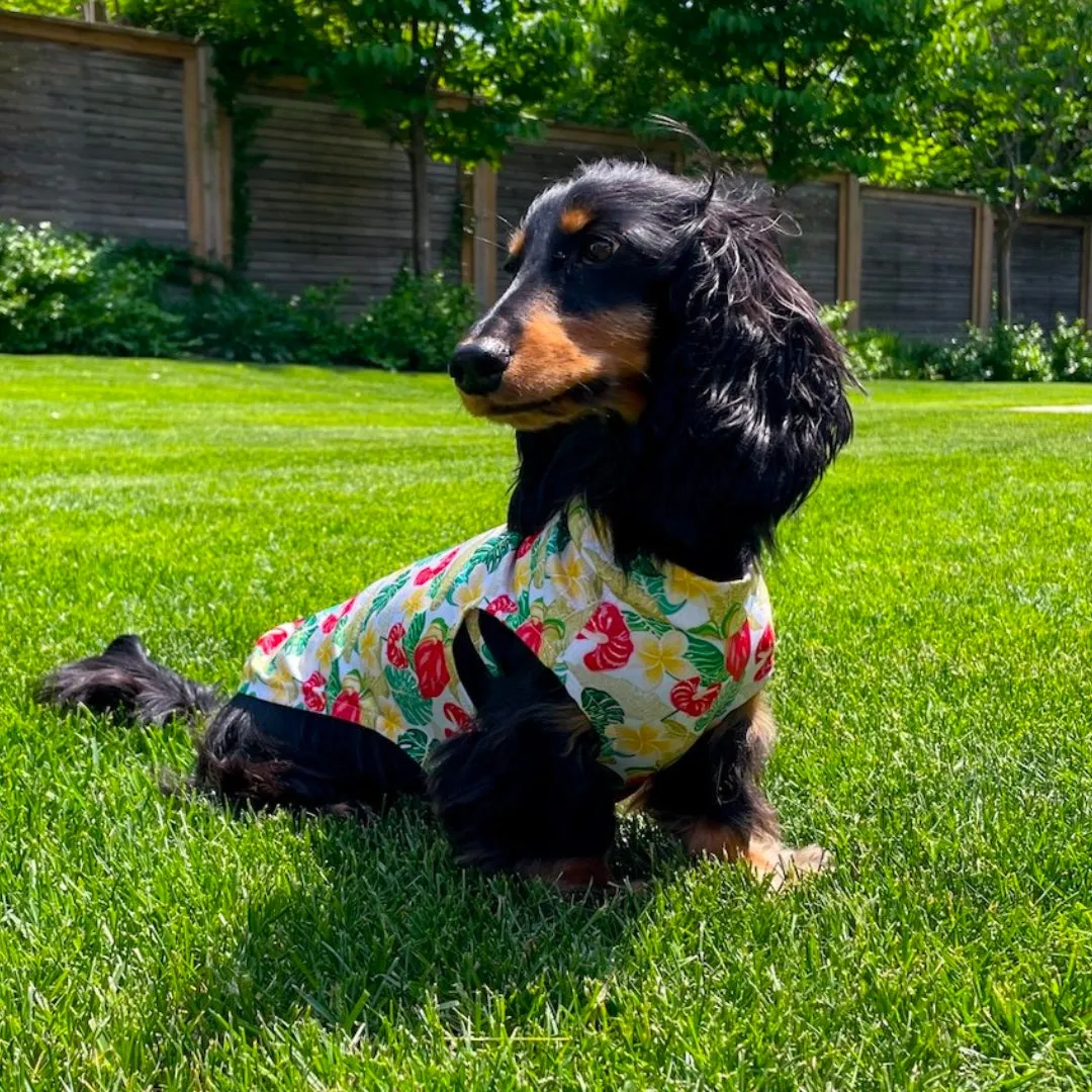 Dachshund Cooling Vest