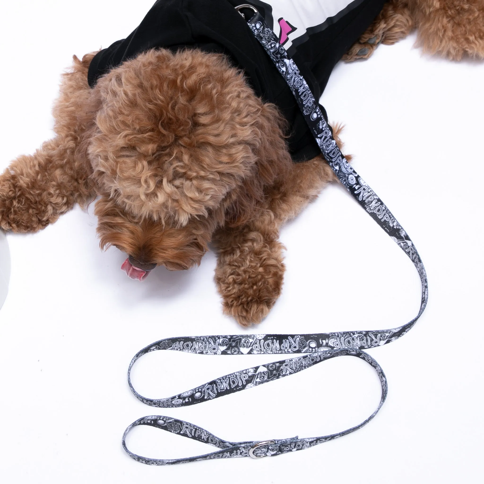 Dark Twisted Fantasy Pet Leash (Black/White)