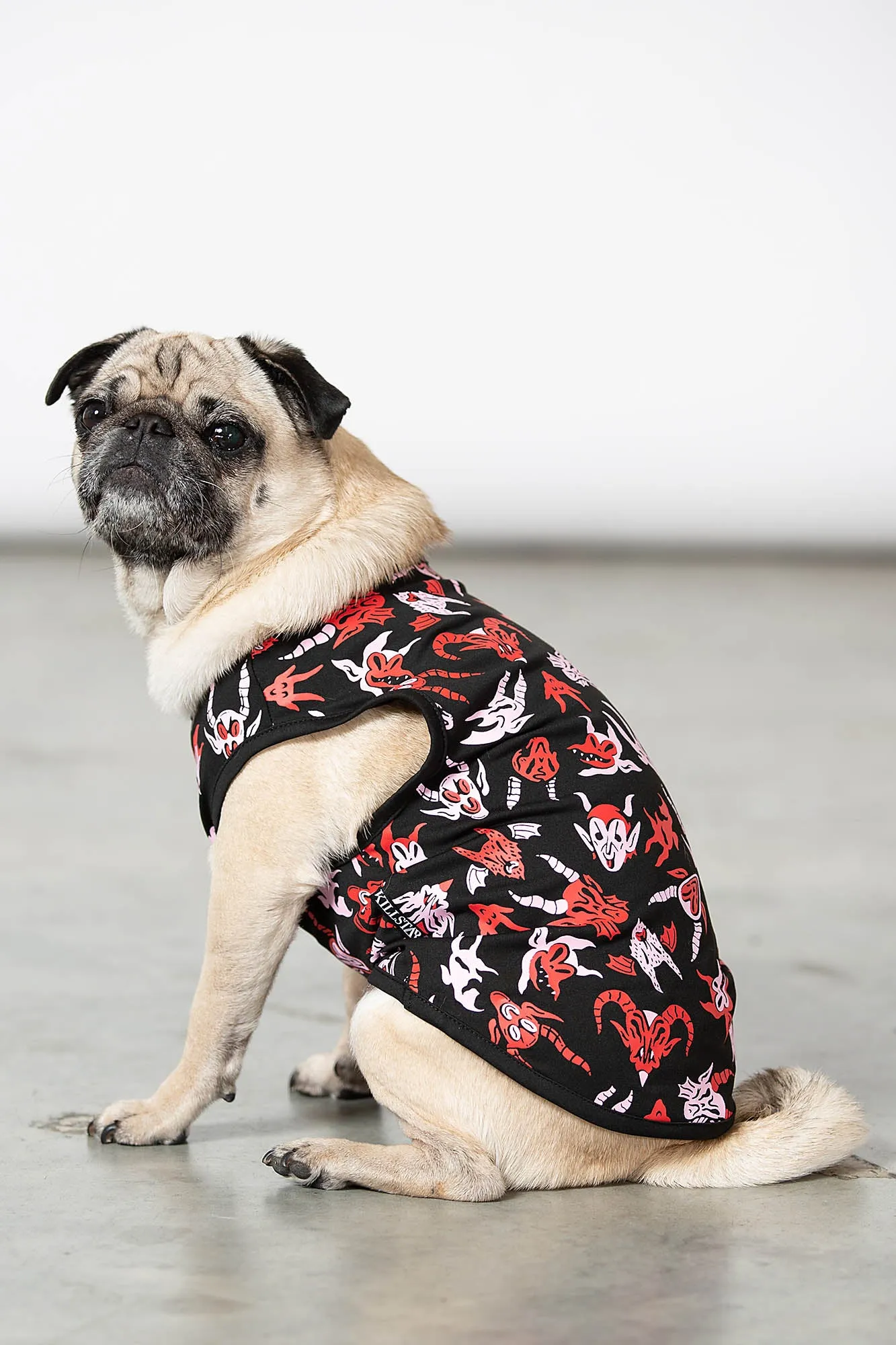 Devious Pet Vest