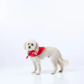 Dog Bandana