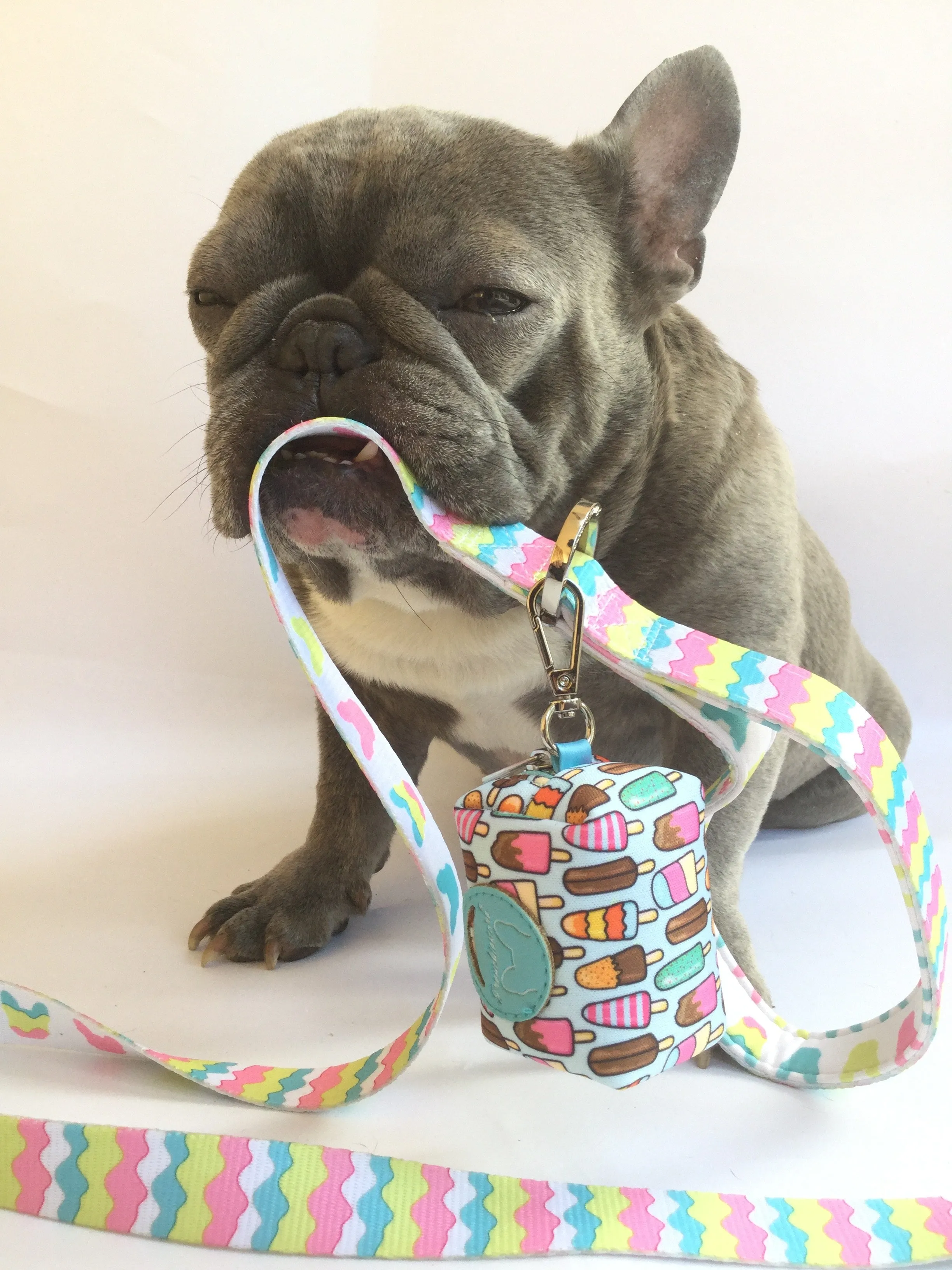 Frenchiestore Poop Bag Dispenser | Ice Cream