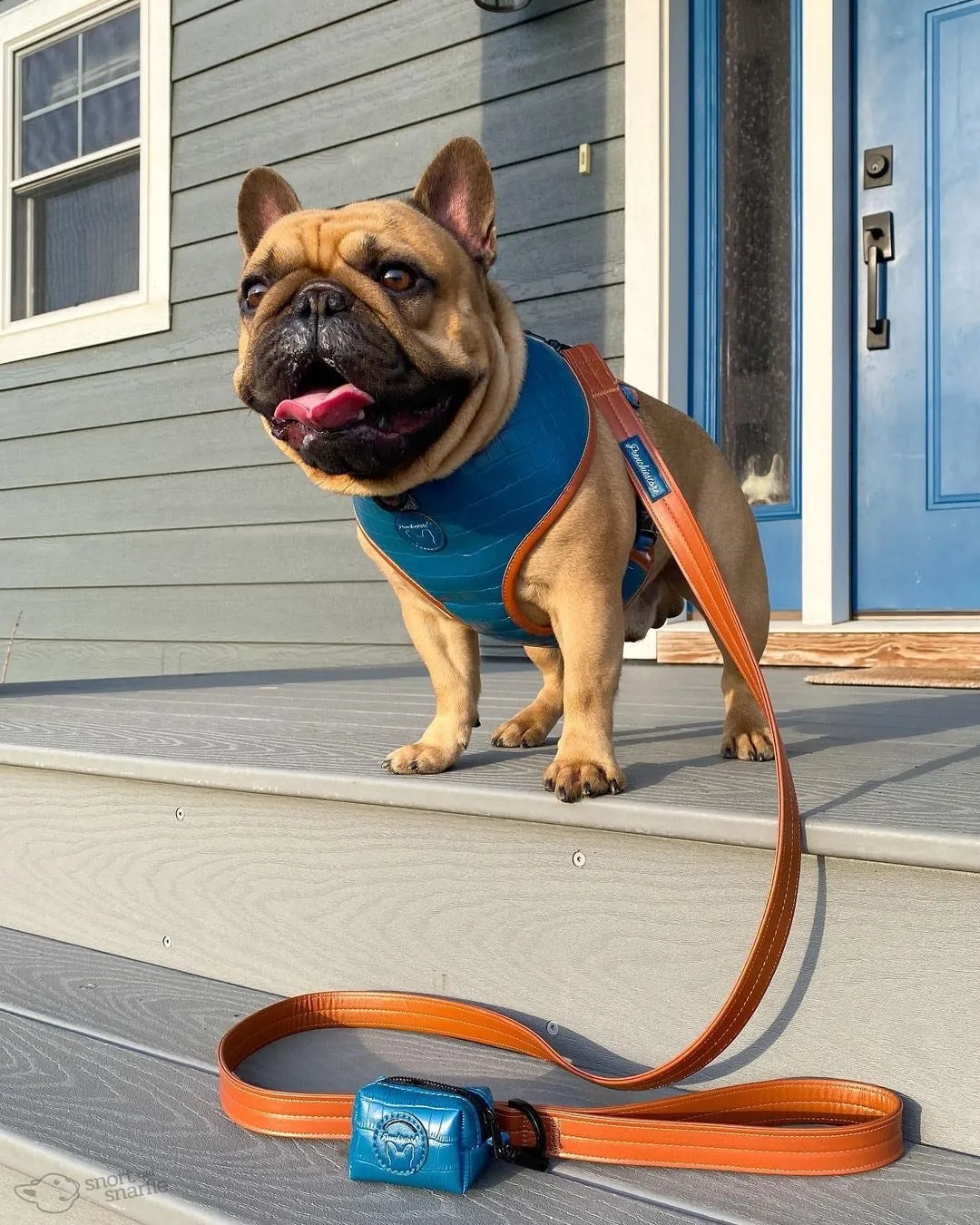 Frenchiestore Poop Bag Dispenser | Sprung