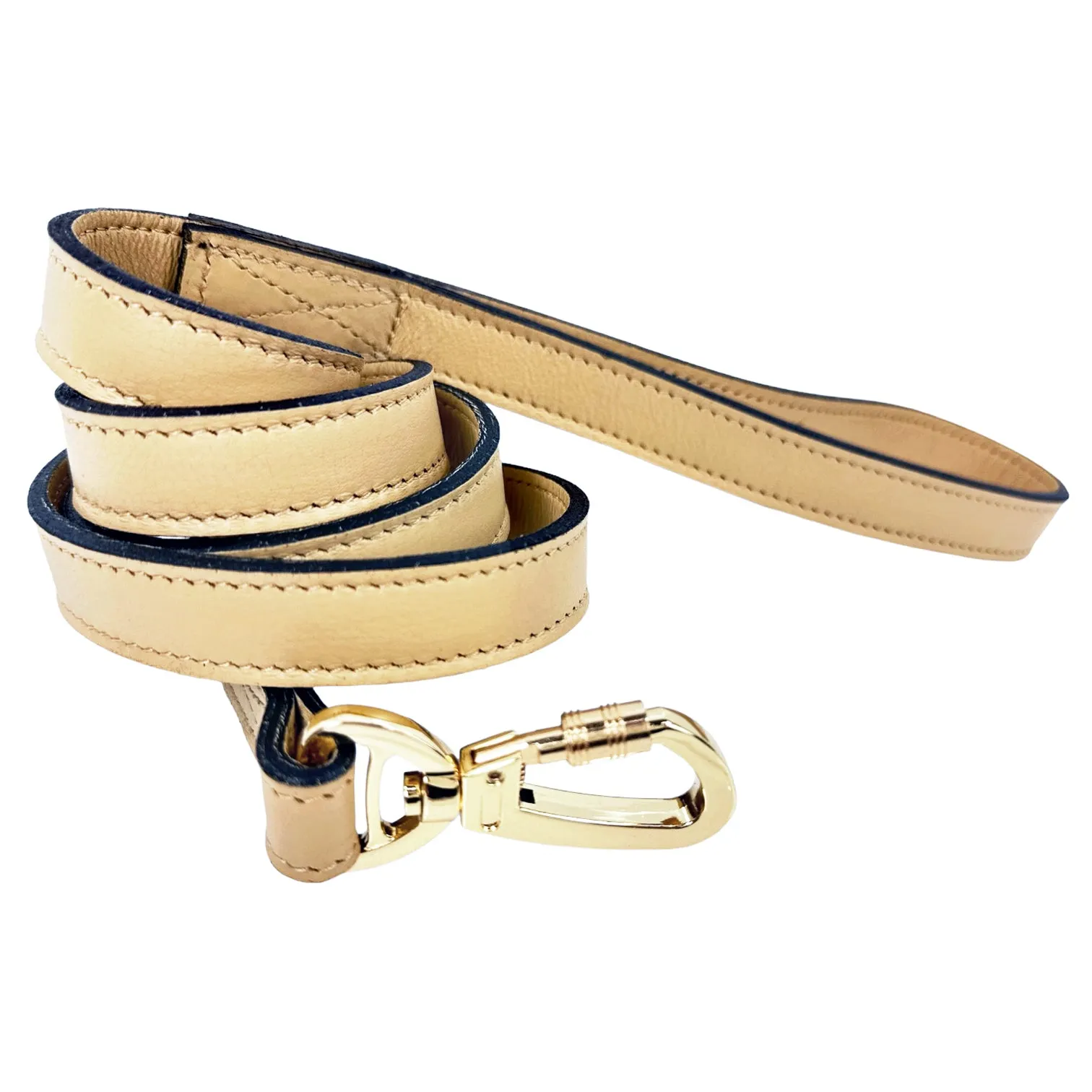 Galaxy Dog Leash in Vanilla & Gold