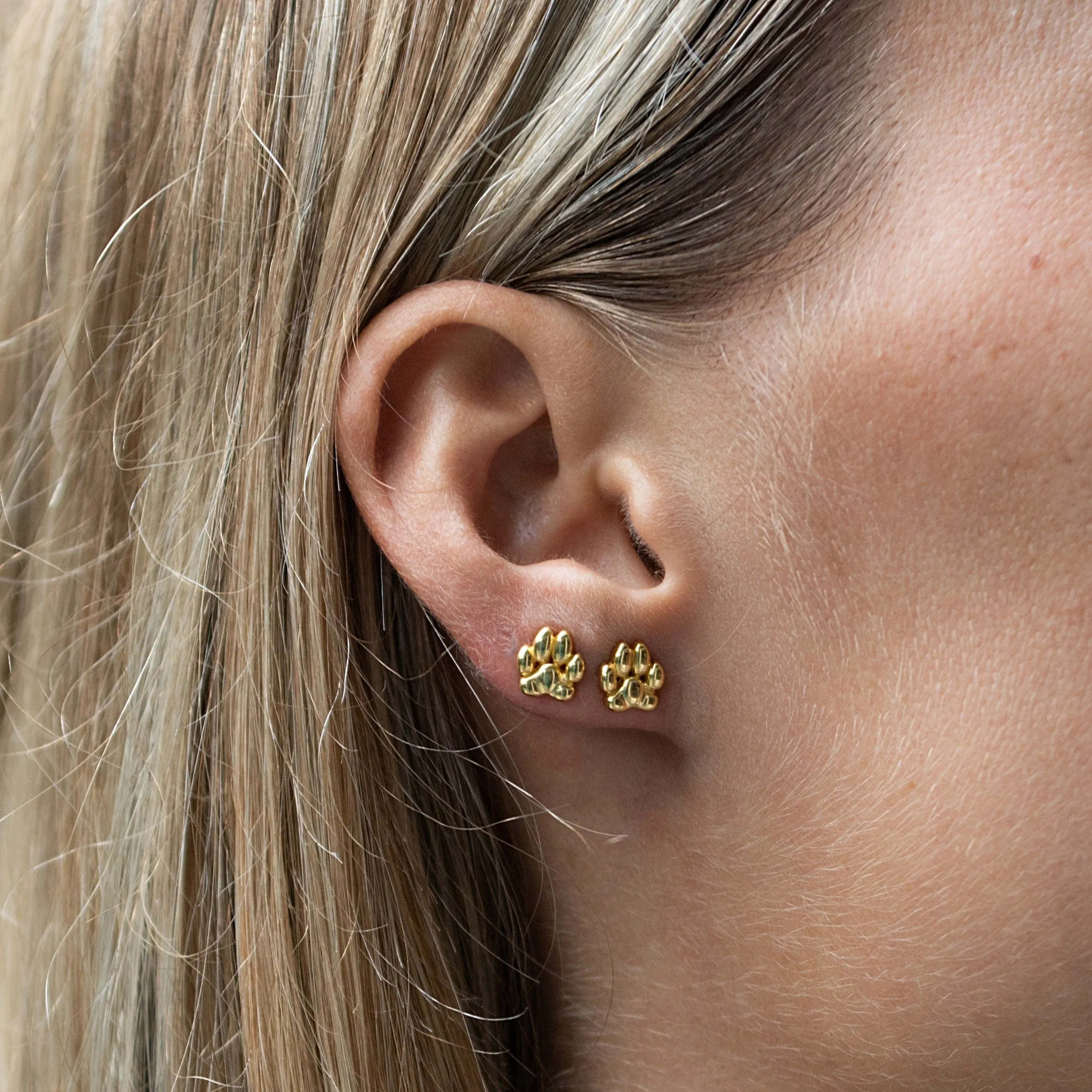 Gold Plated Paw Stud Earrings