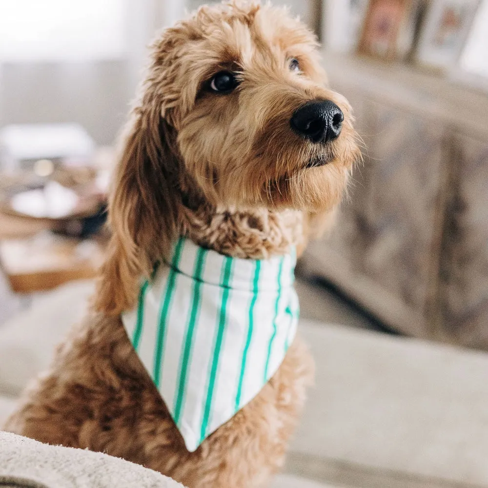 Green Stripe - Pet Bandana