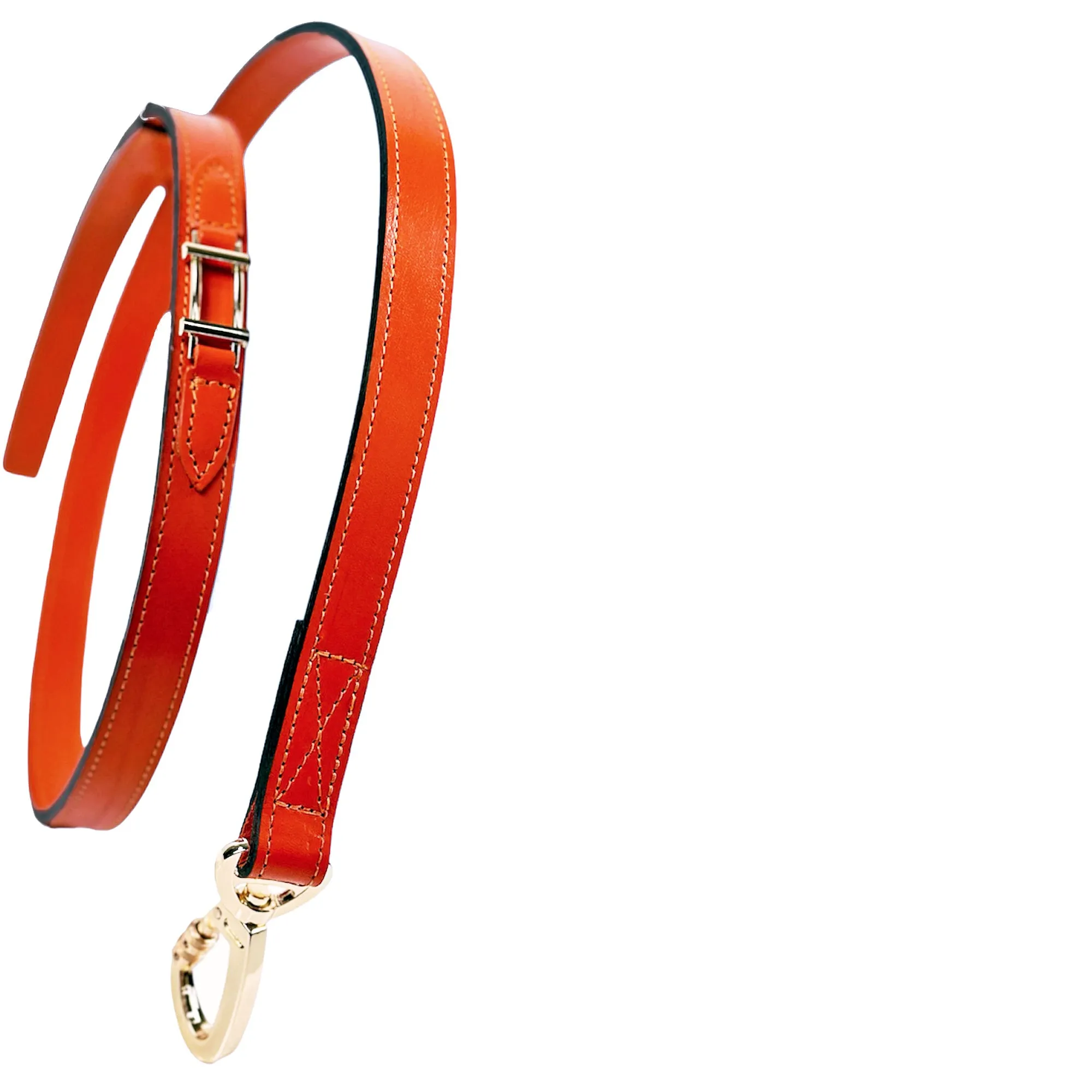 Hamilton Dog Leash in Tangerine & Gold