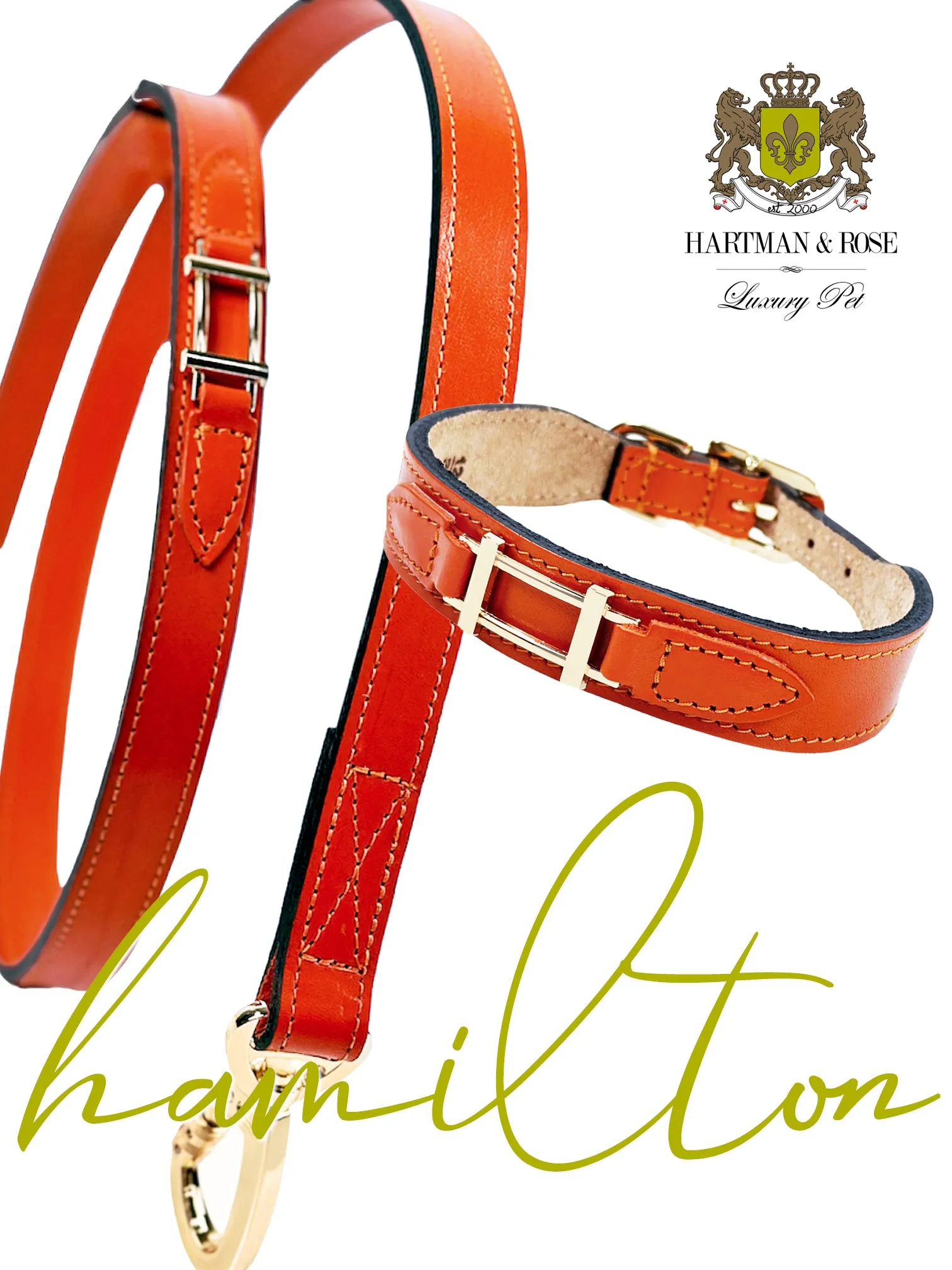 Hamilton Dog Leash in Tangerine & Gold