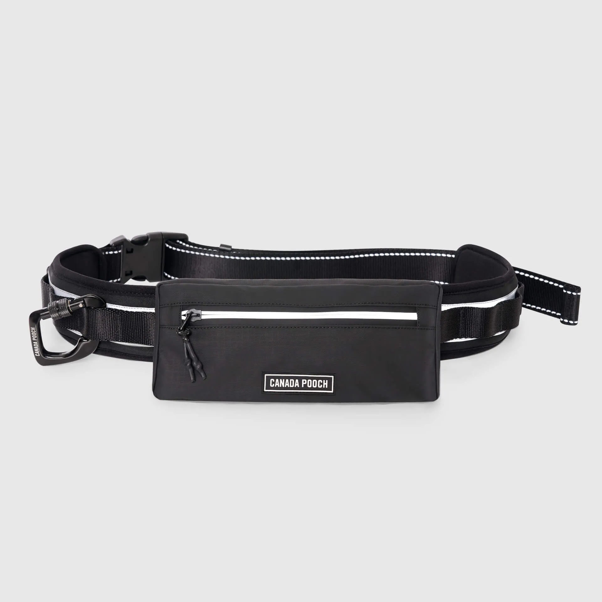 Handsfree Dog Walking Belt