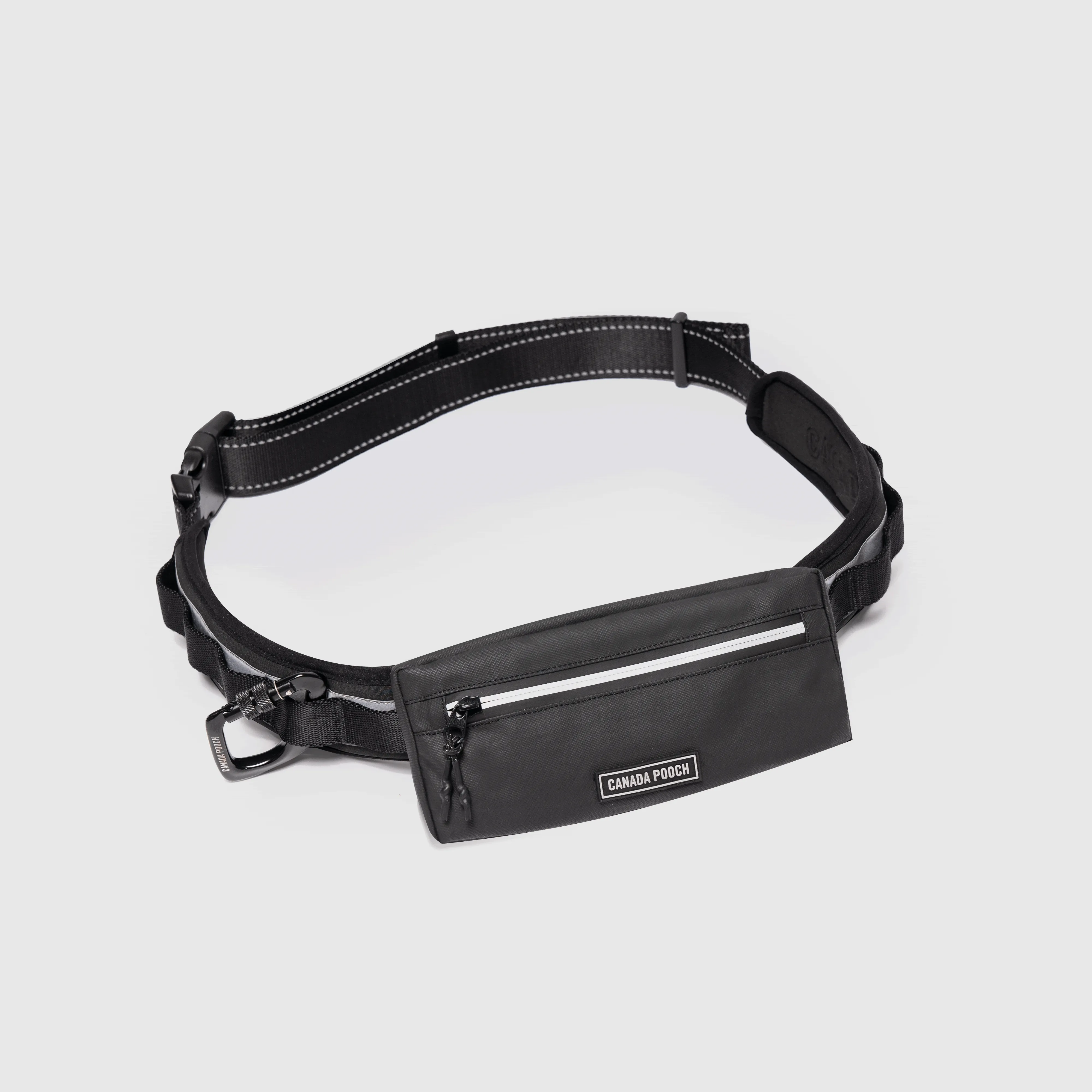 Handsfree Dog Walking Belt