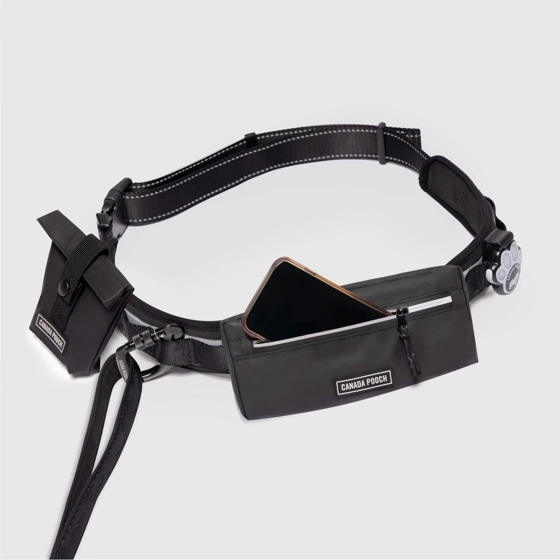 Handsfree Dog Walking Belt