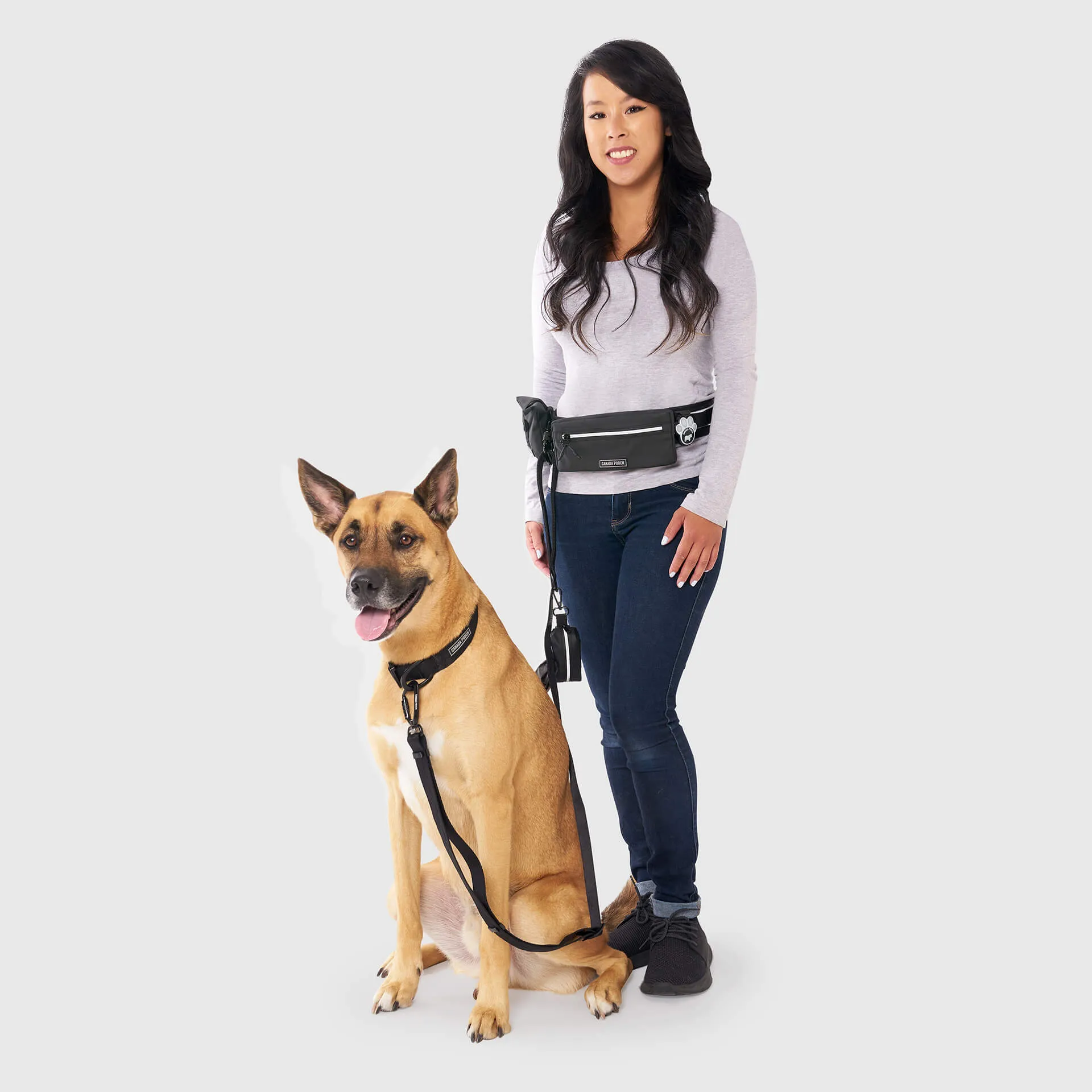 Handsfree Dog Walking Belt