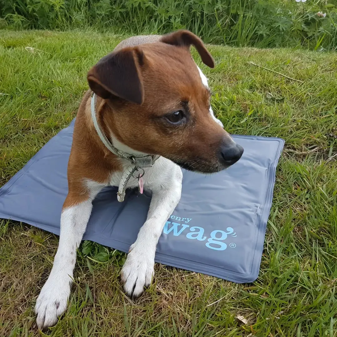 Henry Wag Gel Pet Cooling Mat