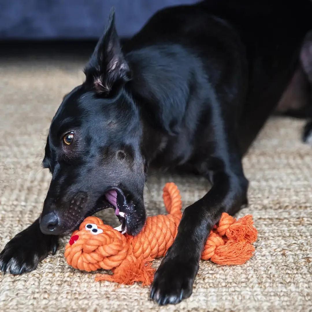 Henry Wag Rope Buddies Companion Dog Toy Characters