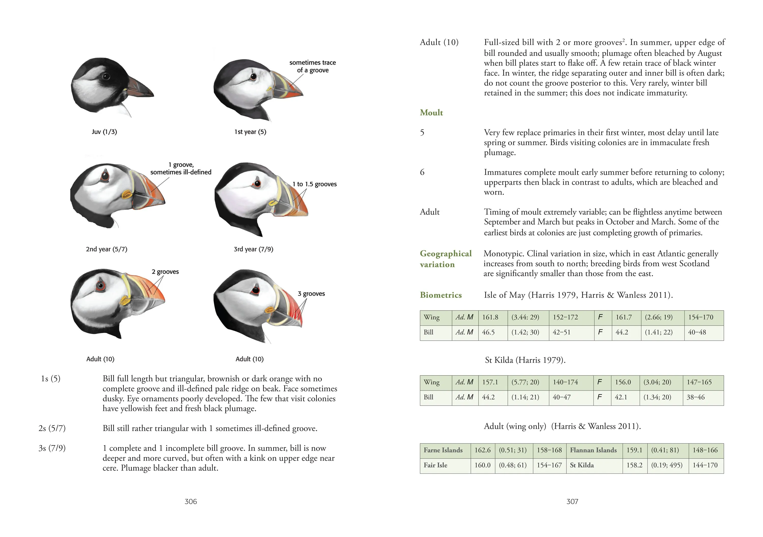 Identification of European Non-Passerines - J.K. Baker