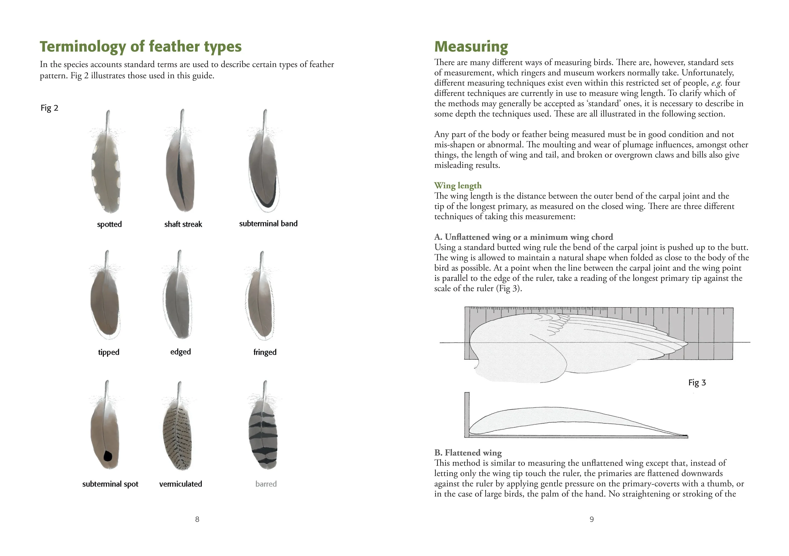 Identification of European Non-Passerines - J.K. Baker