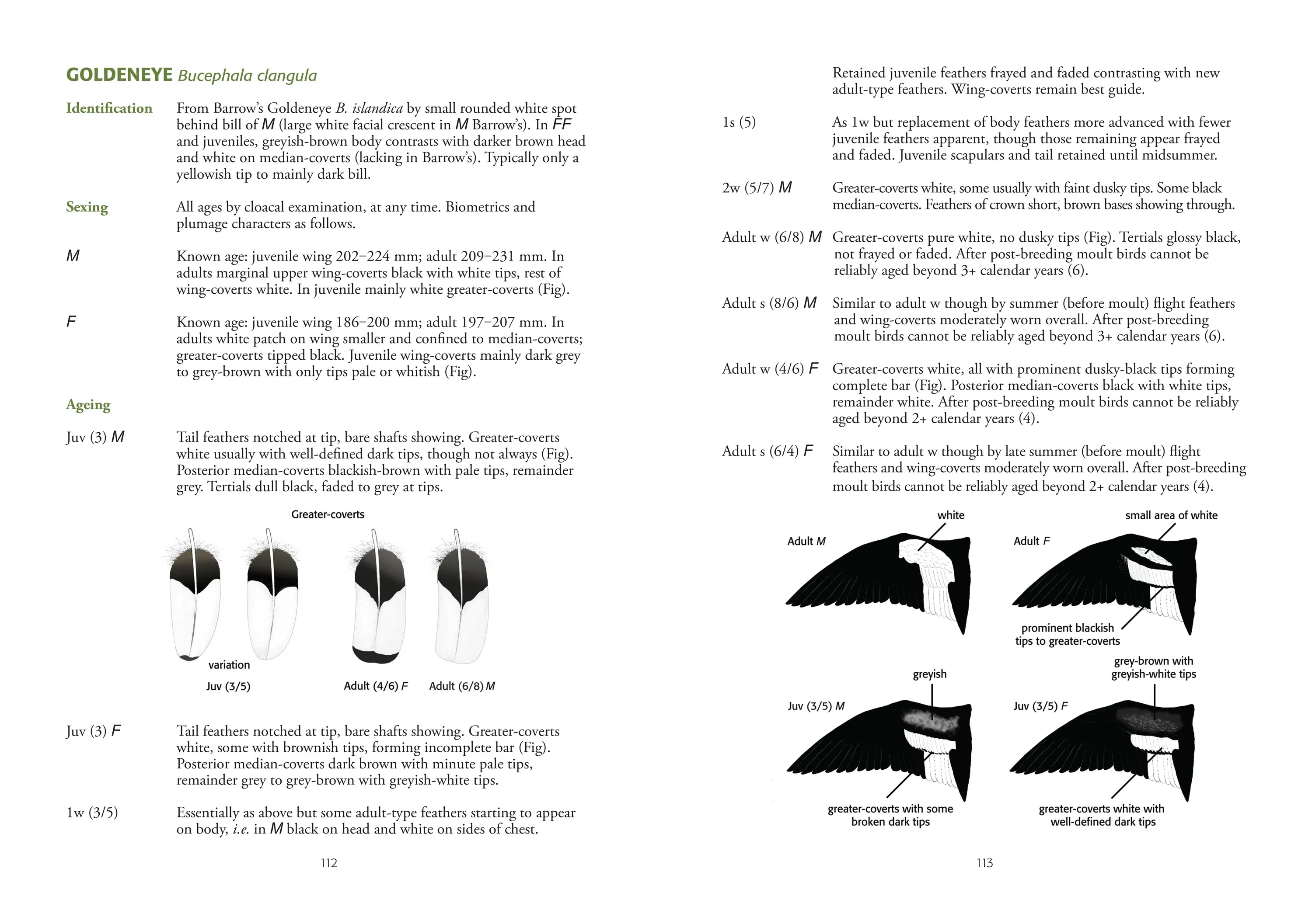 Identification of European Non-Passerines - J.K. Baker