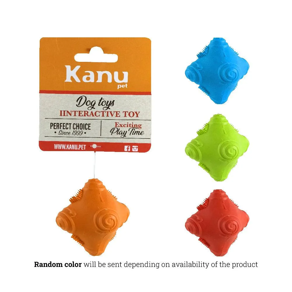 Kanu Pet Interactive Rubber Dog Toy