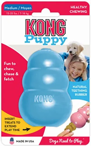 Kong Puppy