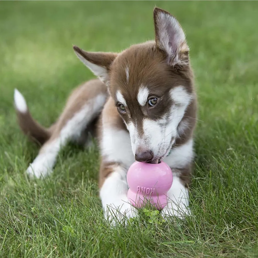 Kong Puppy