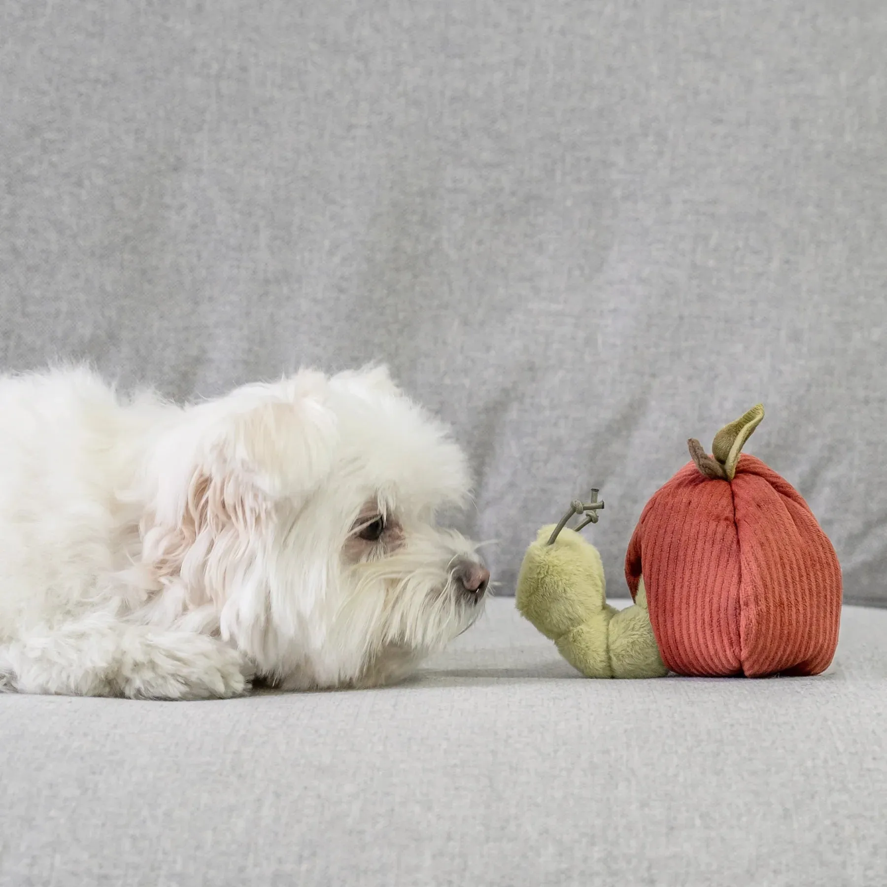 Lambwolf APPLE and CATERPILLAR with Crinkly and Burrow